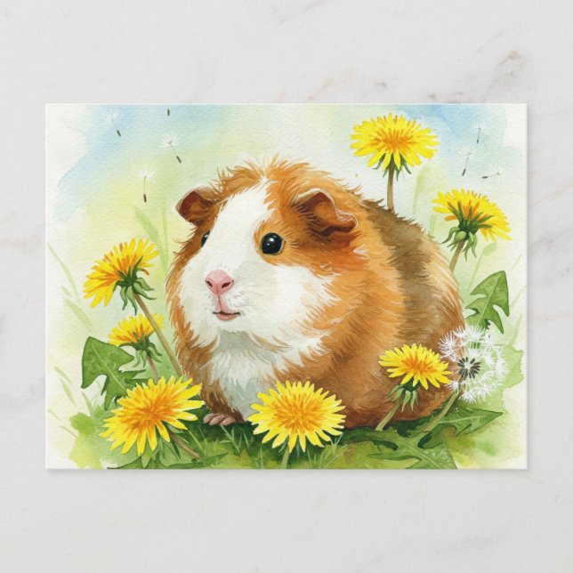 Cute Guinea pig with dandelions Postcard (Front)