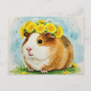 Cute Guinea pig with Dandelions Postcard