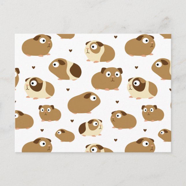 Cute Guinea Pigs Postcard (Front)