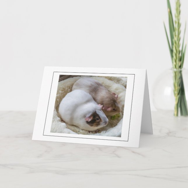 Cute Guinea pigs view greeting card (Front)