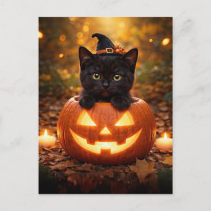 Cute Halloween Back Cat and Jack O Lantern Holiday Postcard