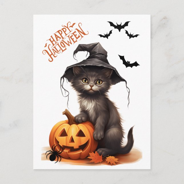 Cute Halloween Black Cat, Pumpkin and Spider Postcard (Front)
