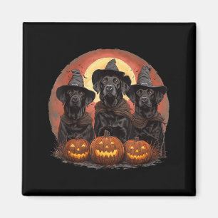 Cute Halloween Black Labrador Retriever Dogs Witch Magnet