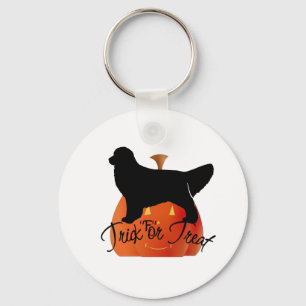 Cute Halloween Golden Retriever Items Key Ring