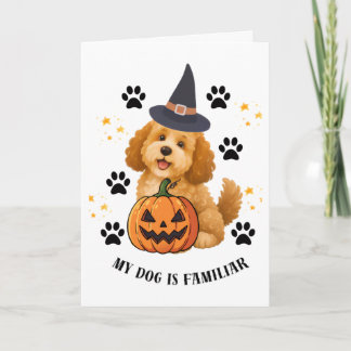 Cute Halloween Poodle Witch with Pumpkin Holiday Card