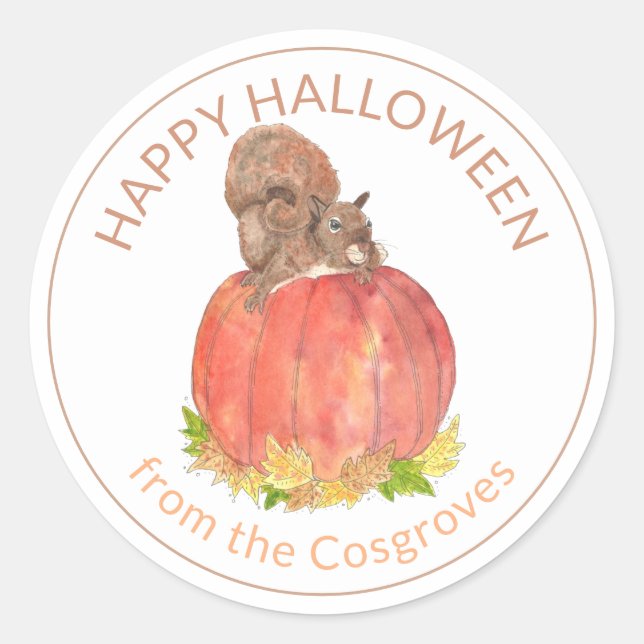 Cute Halloween Squirrel on Pumpkin Classic Round Sticker (Front)