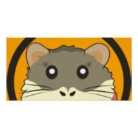 Cute hamster face with colourful fur: Animal lover