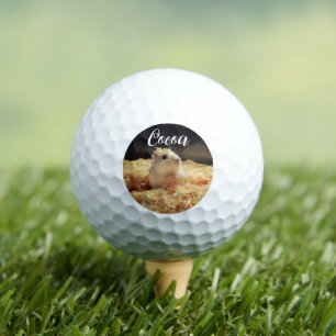 Cute Hamster Gift For Hamster Lovers Golf Balls