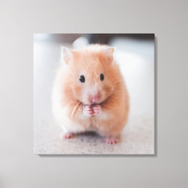 Cute Hamster Love Animals Canvas Print (Front)