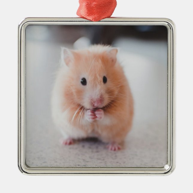Cute Hamster Love Animals Metal Tree Decoration (Front)
