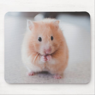 Cute Hamster Love Animals Mouse Pad