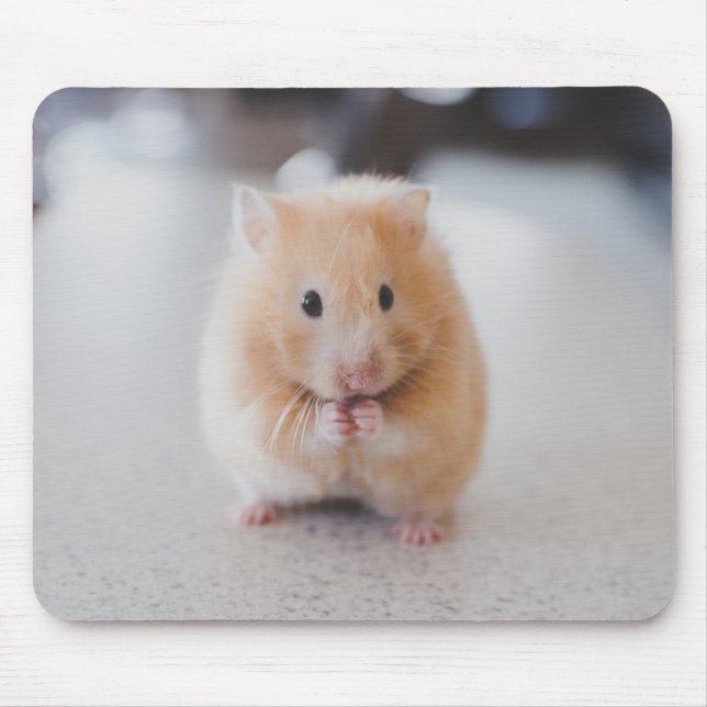 Cute hamster mouse pad (Front)