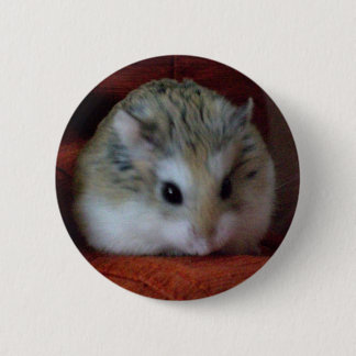 Cute Hamster On A Button - Hammy