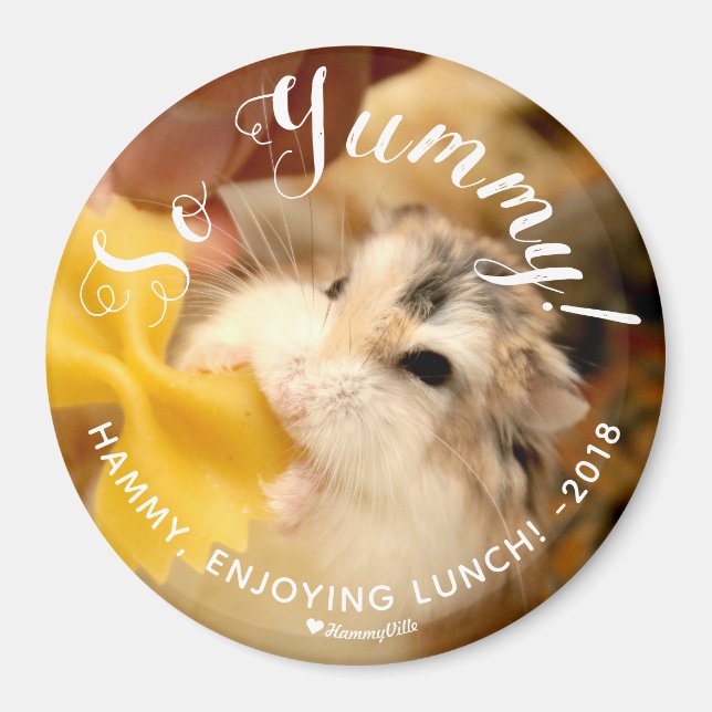 Cute Hamster So Yummy Magnet (Front)
