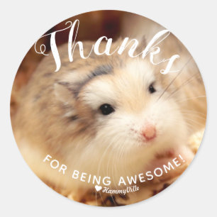 Cute Hamster Thanks for Being Awesome Classic Round Sticker