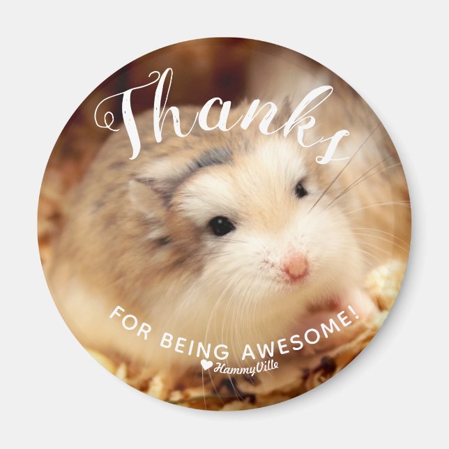 Cute Hamster Thanks for Being Awesome Magnet (Front)