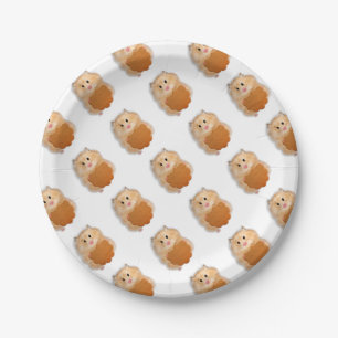 Cute hamster with biscuit illustration gift paper plate