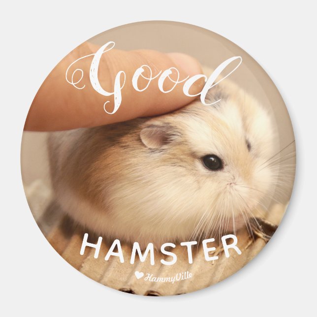 Cute Hamter being a Good Hamster Magnet (Front)