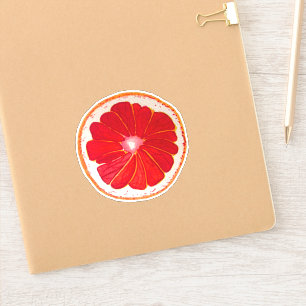 Cute hand painted pink grapefruit pop art