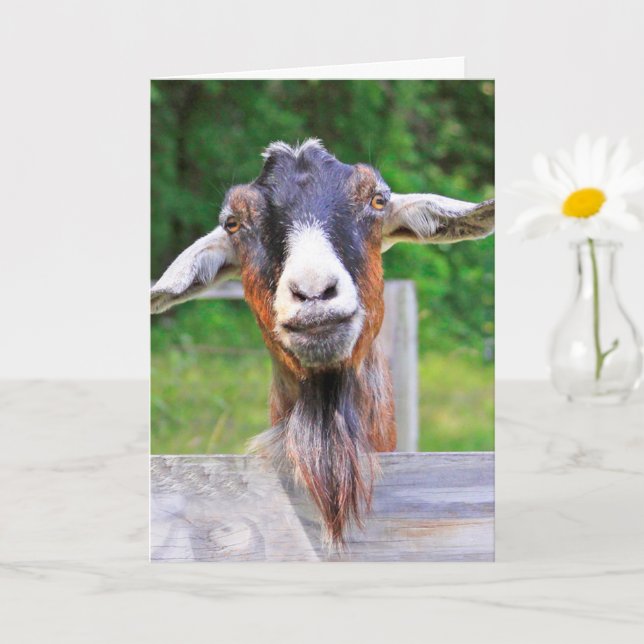 Cute, Handsome, Heartfelt Goat Get Well Card (Small Plant)
