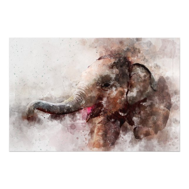 Cute, Happy and Playful Baby Asian Elephant  Photo Print (Front)