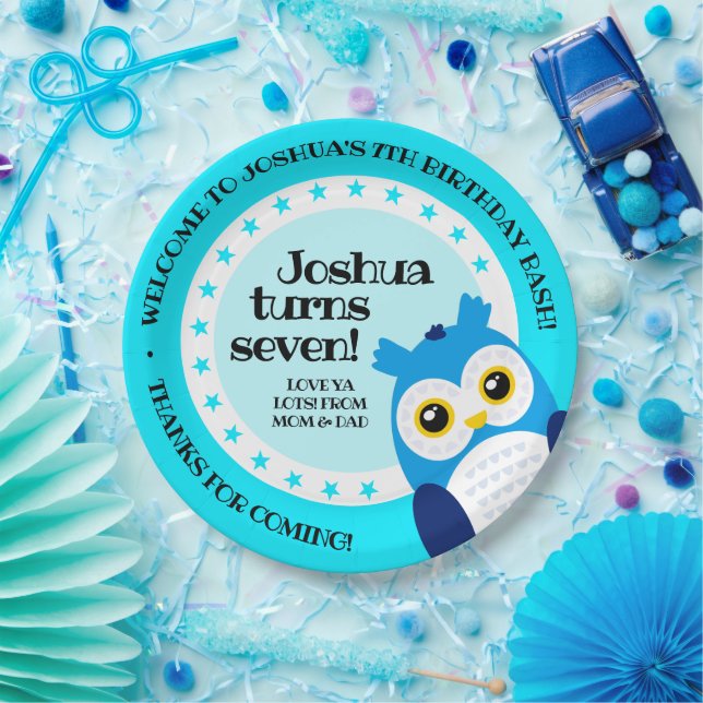 Cute Happy Birthday Boy Blue Owl Paper Plate (Party)