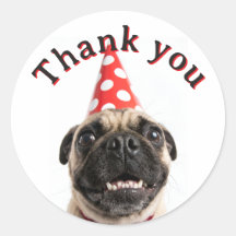 Cute Happy Birthday Pug in Red Party Hat