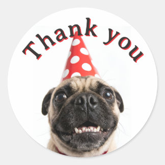 Cute Happy Birthday Pug in Red Party Hat Classic Round Sticker