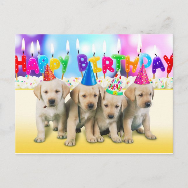 Cute Happy birthday puppies Postcard (Front)