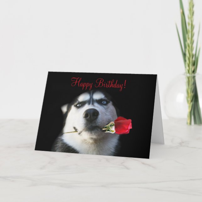 Cute Happy Birthday to my Brother in Law Card (Front)