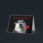 Cute Happy Birthday to My Favourite Brother in Law Card<br><div class="desc">A fun way to express Happy Birthday wishes to your favourite brother in law.  A cool husky dog,  holding a rose.  Super fun card.</div>