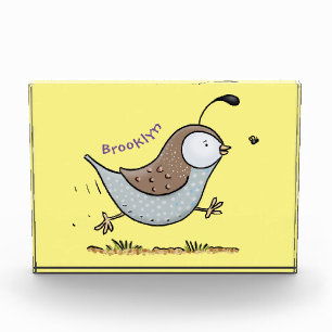 Cute happy californian quail cartoon illustration photo block
