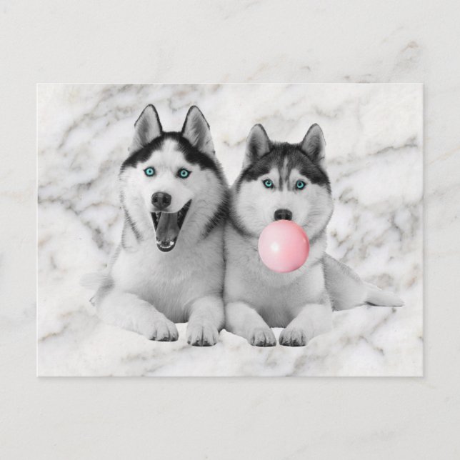 Cute Happy Siberian Husky Dogs Blowing Bubble Gum Postcard (Front)