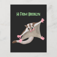Cute happy sugar glider cartoon illustration