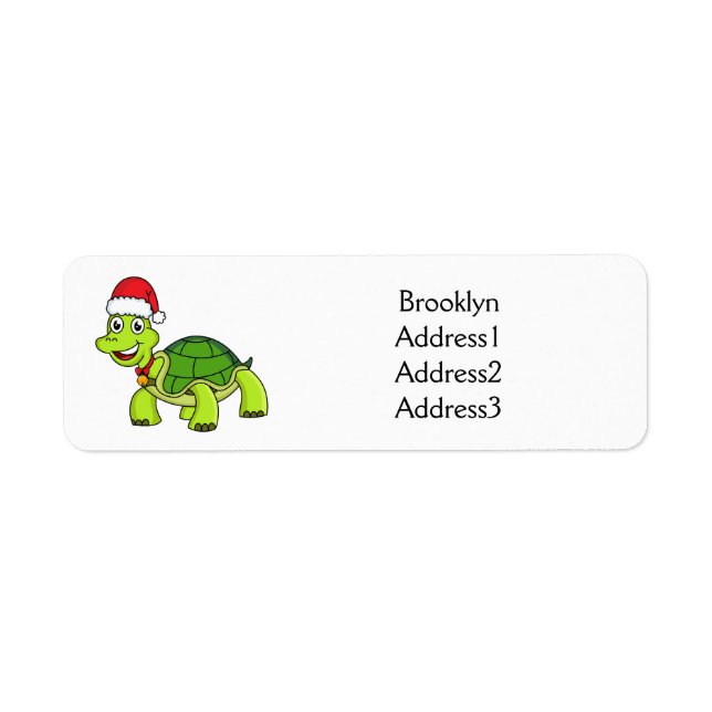 Cute happy tortoise wearing Santa hat (Front)
