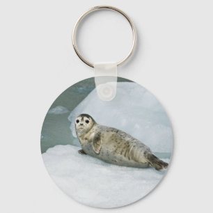 Cute Harbour Seal on Snow Key Ring