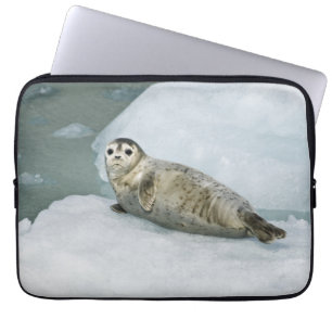 Cute Harbour Seal on Snow Laptop Sleeve
