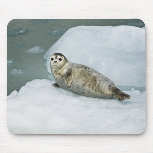 Cute Harbour Seal on Snow Mouse Pad (Front)
