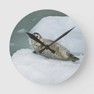 Cute Harbour Seal on Snow Round Clock