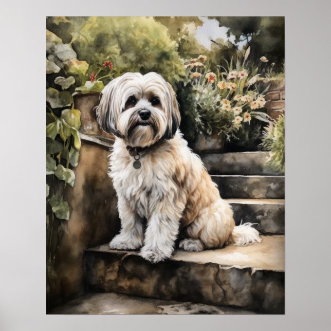 Cute Havanese Dog Art Print Poster (Front)