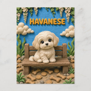 Cute Havanese Puppy, Baby Dog Postcard