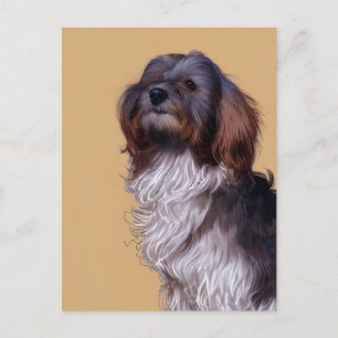 Cute Havanese Puppy Dog Postcard