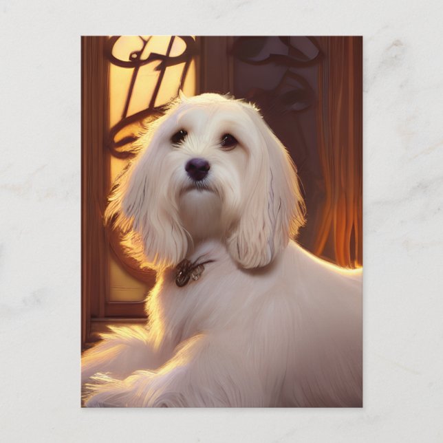 Cute Havanese Puppy Dog Postcard (Front)