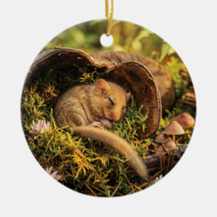 Cute Hazel Dormouse Sleeping Inside a Leather Boot Ceramic Tree Decoration