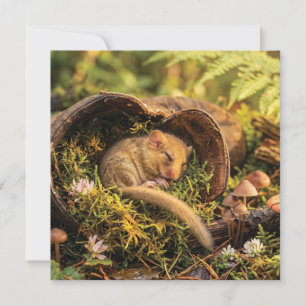 Cute Hazel Dormouse Sleeping Inside a Leather Boot Holiday Card