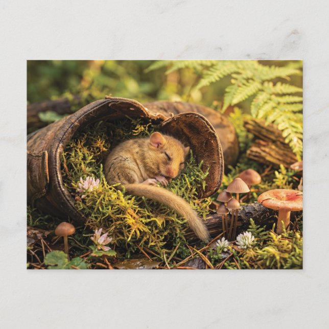 Cute Hazel Dormouse Sleeping Inside a Leather Boot Holiday Postcard (Front)