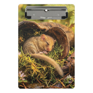 Cute Hazel Dormouse Sleeping Inside a Leather Boot Mini Clipboard