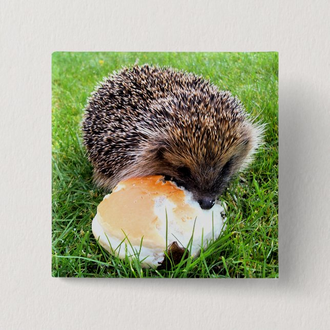 CUTE HEDGEHOG 15 CM SQUARE BADGE (Front)