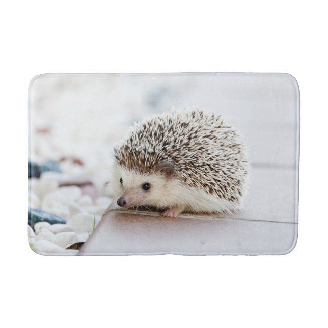 Cute Hedgehog Bath Mat (Front)