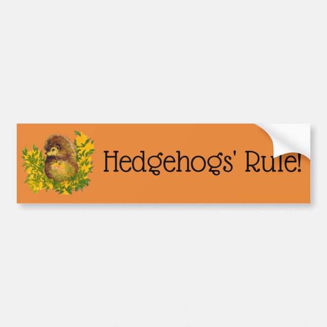Cute Hedgehog Colour Printed Fancy Designed Bumper Sticker (Front)